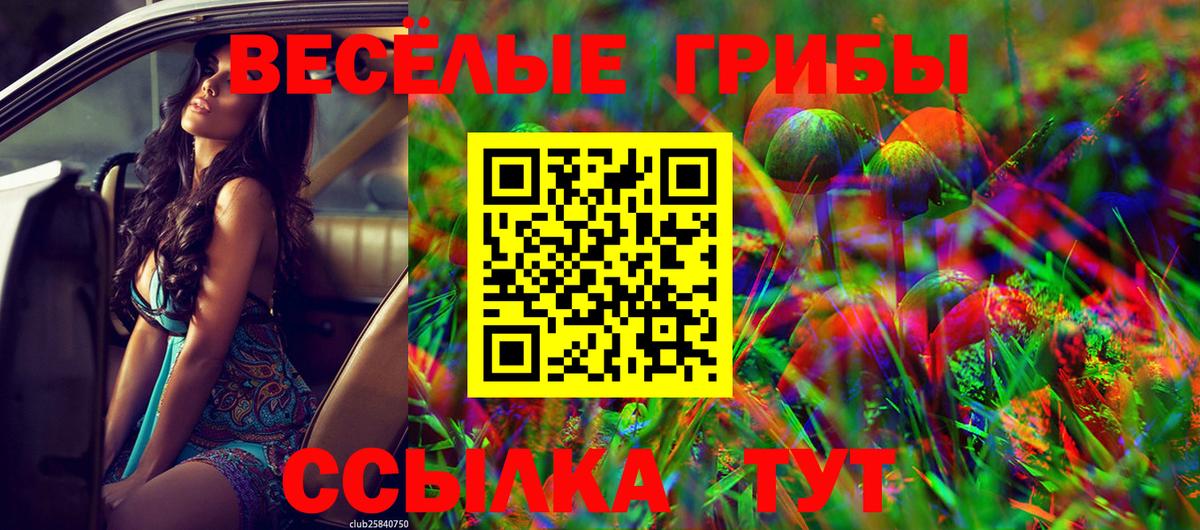 Галлюциногенные грибы мухоморы  Вход с VPN  Тайшет 