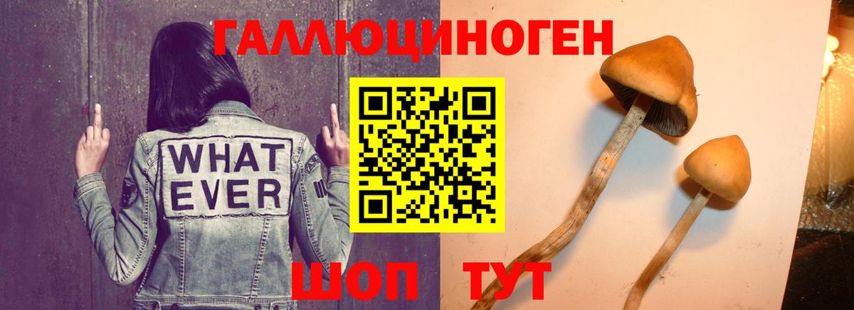 Псилоцибиновые грибы мухоморы Тайшет