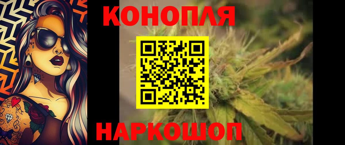 Бошки марихуана OG Kush Тайшет